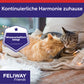 FELIWAY Friends für Harmonie zuhause