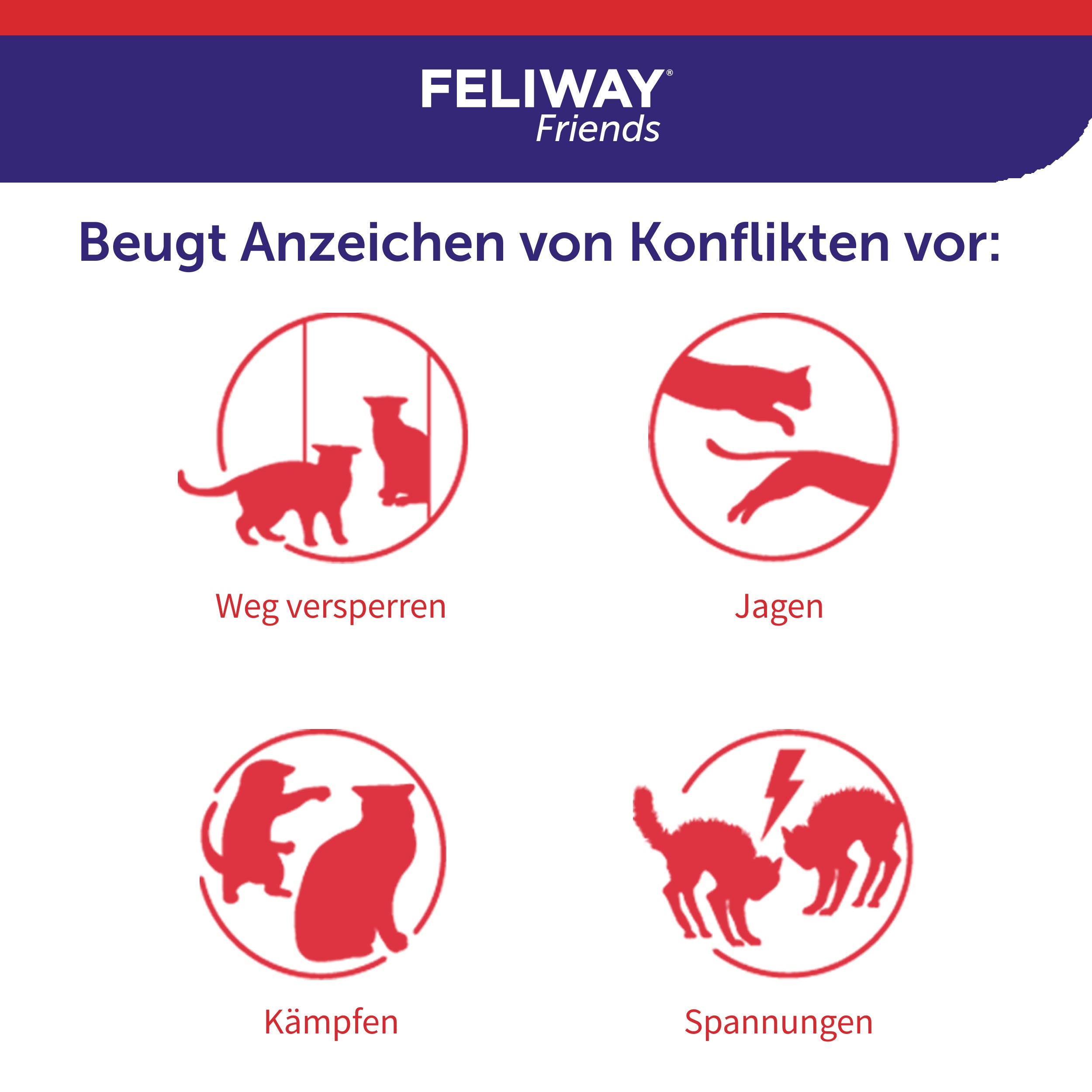 FELIWAY Friends beugt Anzeichen von Konflikten vor