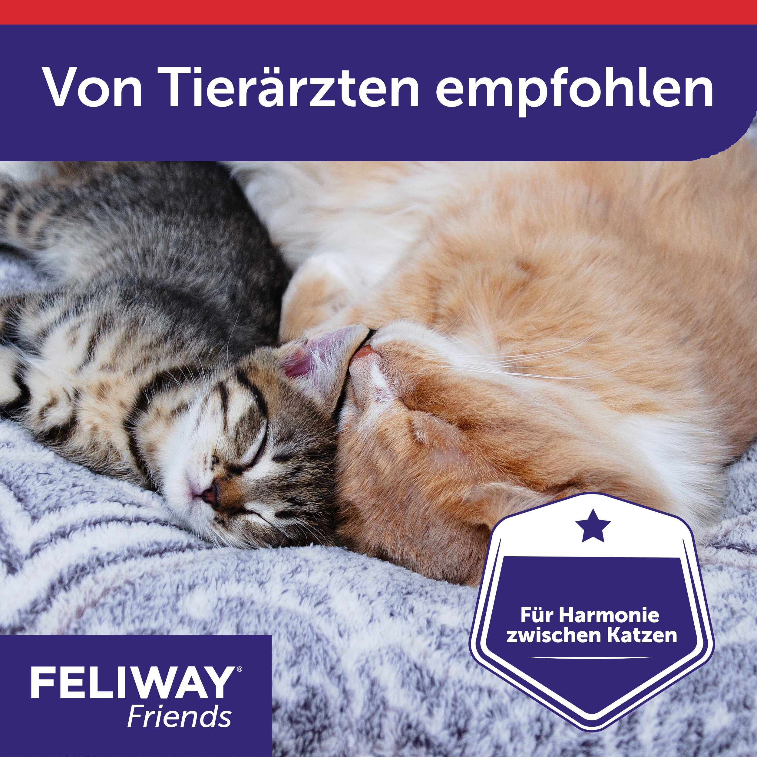 FELIWAY Friends wird von Tierärzten empfohlen