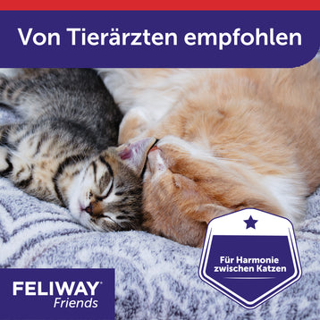 FELIWAY Friends wird von Tierärzten empfohlen