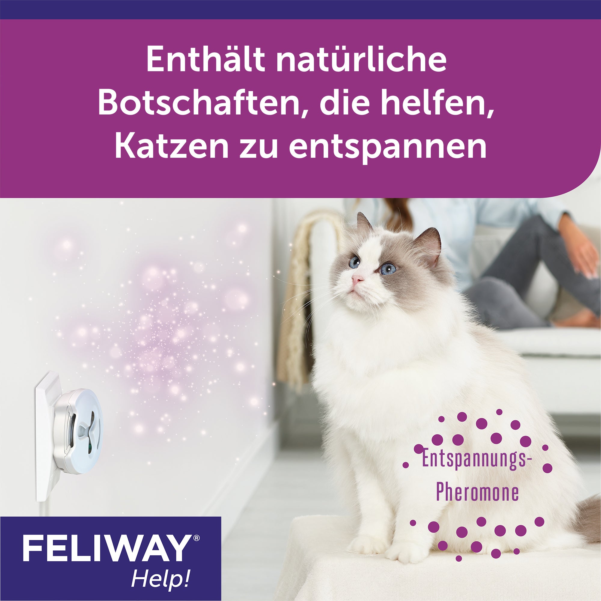 Feliway Help enthält Entspannungs-Pheromone