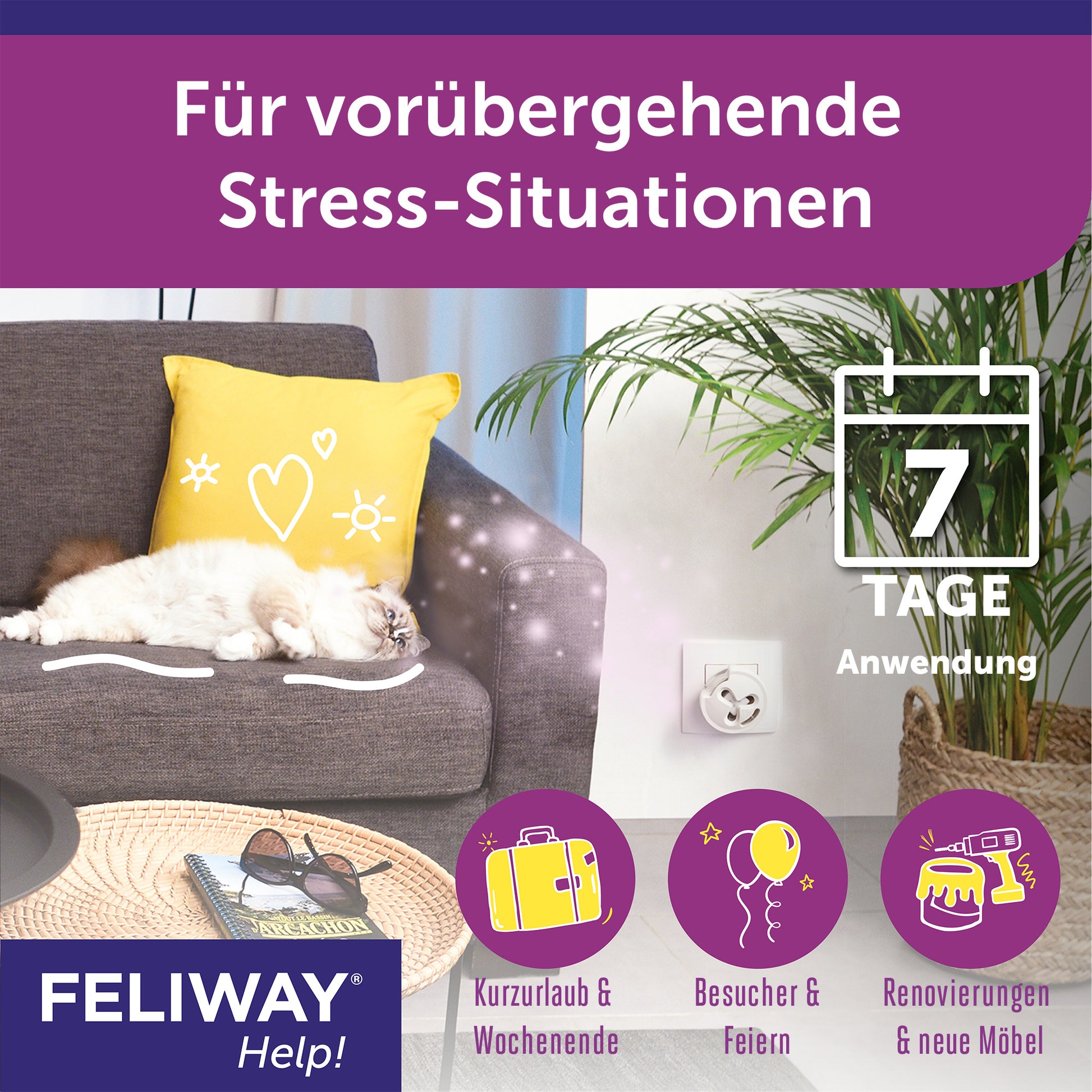 Feliway Help für vorübergehende Stress-Situationen