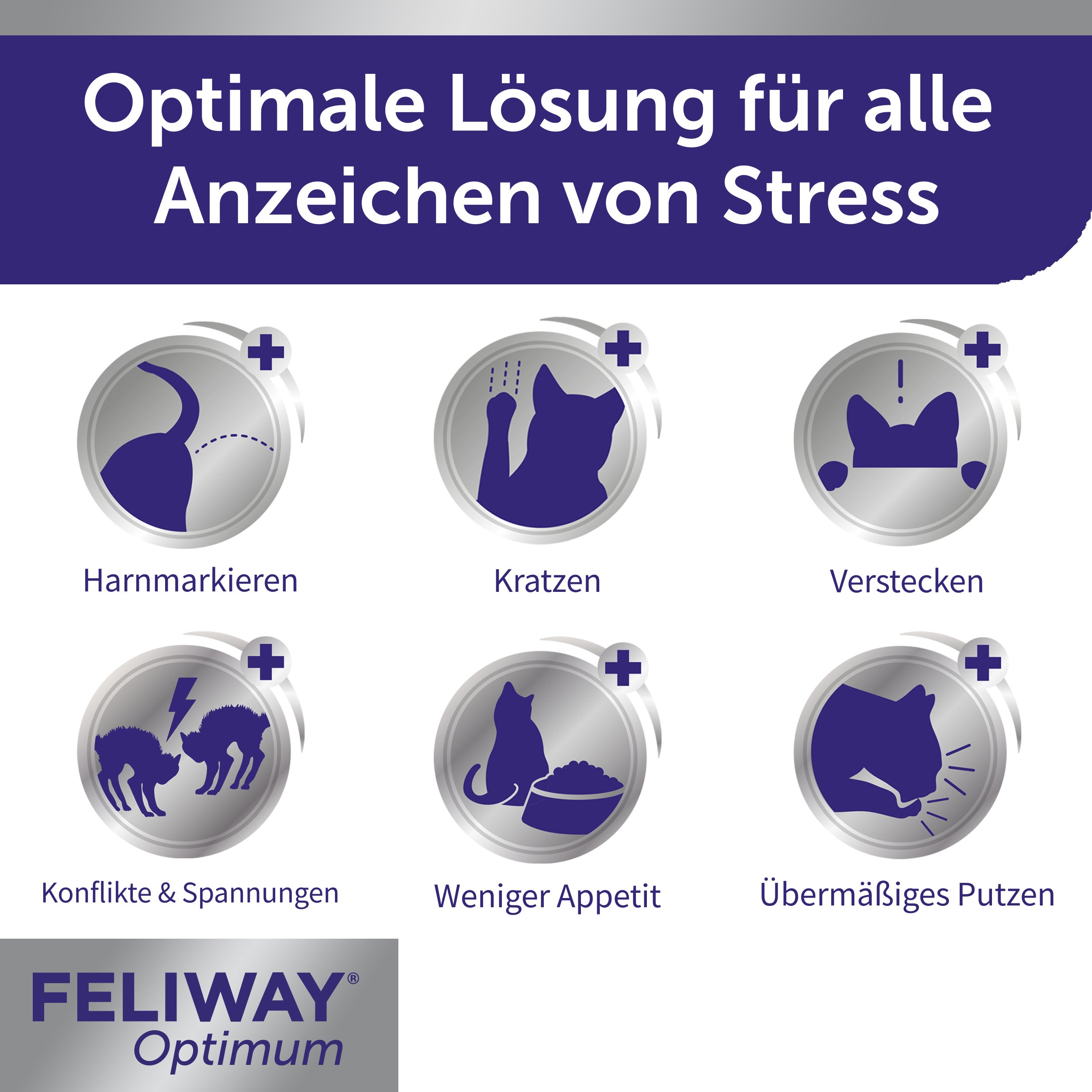 FELIWAY Optimum beugt Anzeichen von Stress vor