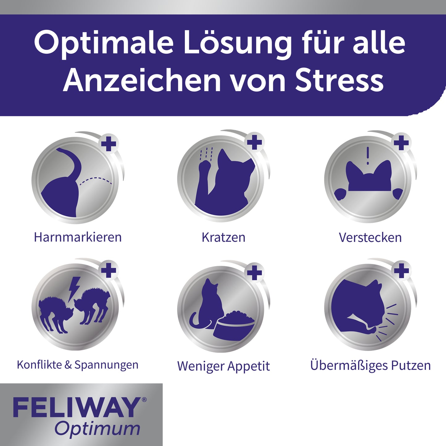 FELIWAY Optimum beugt Anzeichen von Stress vor