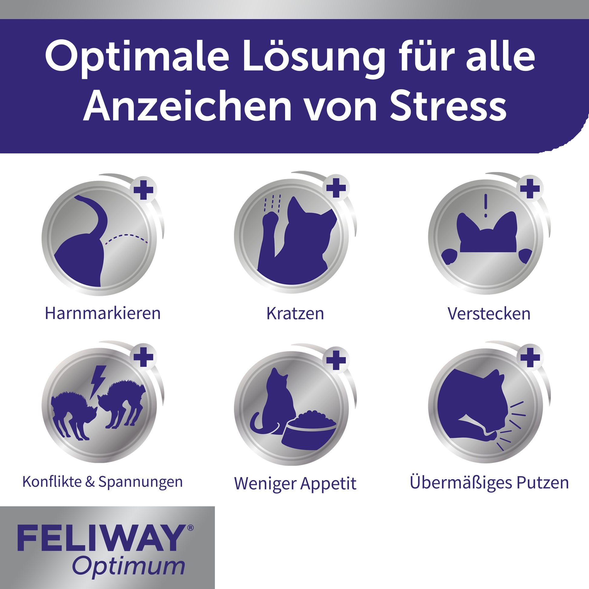 FELIWAY Optimum beugt Anzeichen von Stress vor