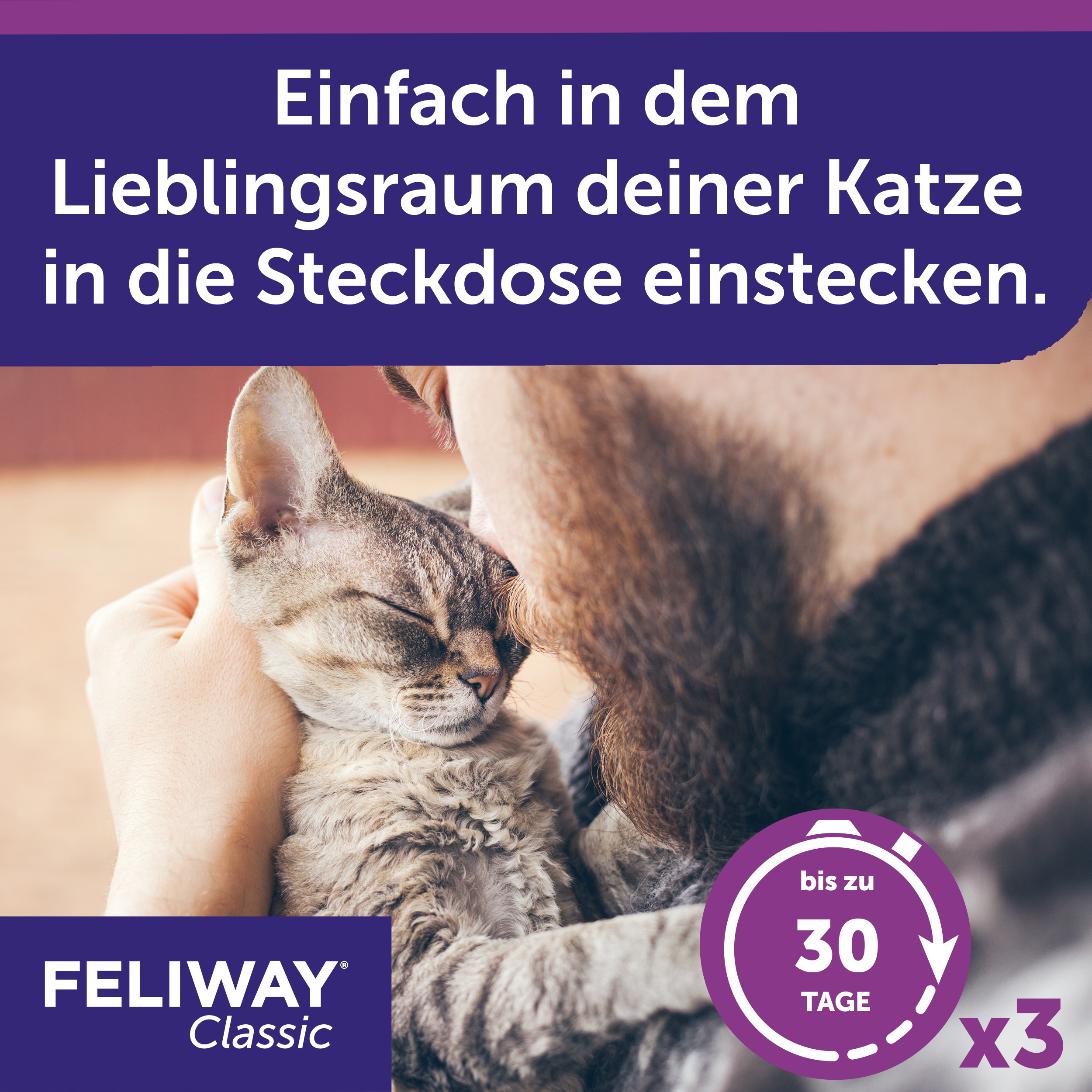 FELIWAY Classic in den Lieblingsraum deiner Katze stecken