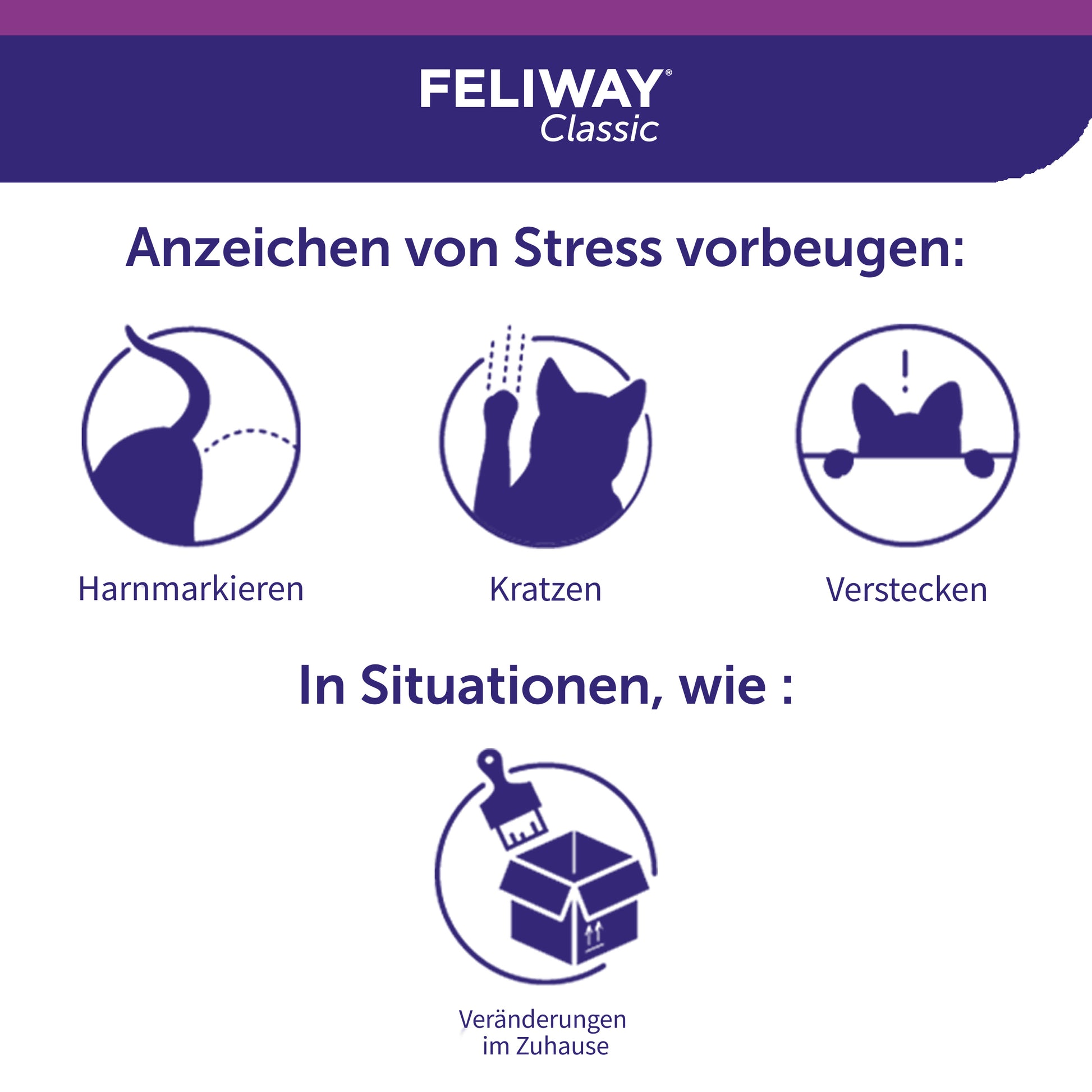 FELIWAY Classic beugt Anzeichen von Stress vor