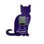 Timer